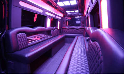 McKinney 14 Passenger Sprinter Bus Interior