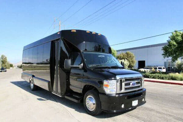 Plano 15 Passenger Party Bus